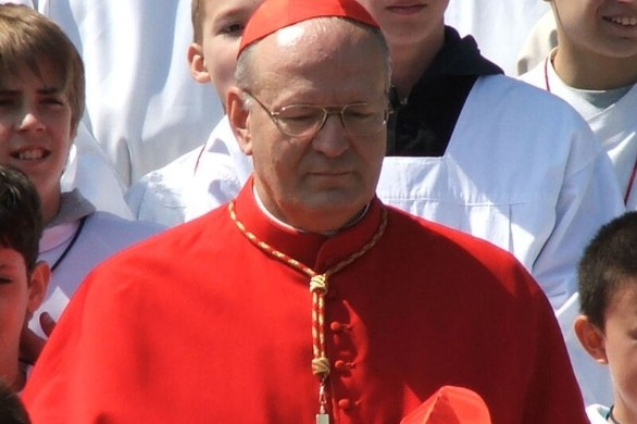 Cardinal Erdő : "L'Église de demain, c'est aussi nous, les catholiques européens, si nous le voulons".